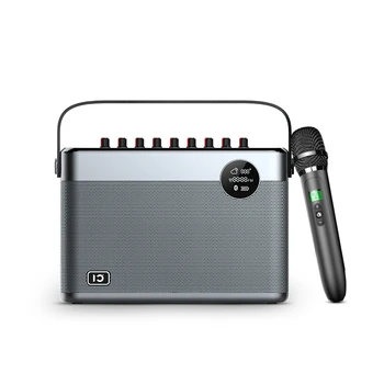 SHIDU 60 Вт Мощный портативный перезаряжаемый домашний Hifi Bluetooth 5.0 Караоке-динамик с беспроводным микрофоном UHF